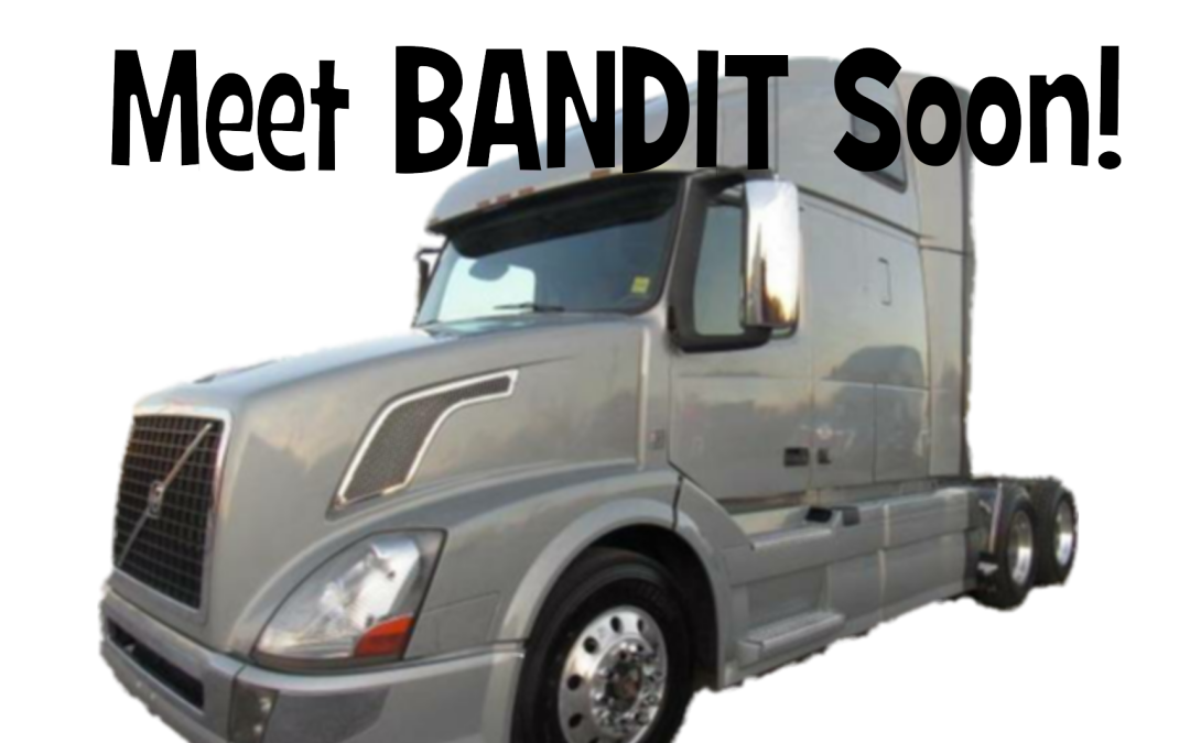 Meet Bandit Soon II