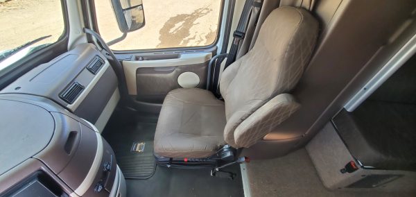 SOLD - Kool Whip is Singled, and ready for a BED (or no bed) - Image 19
