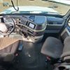 SOLD – Kool Whip is Singled, and ready for a BED (or no bed) - Image 8
