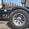 SOLD – Kool Whip is Singled, and ready for a BED (or no bed) - Image 19